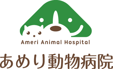 飯山あめり動物病院